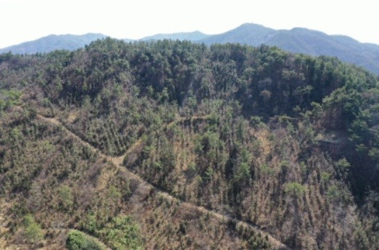 [출처=곡성군청]