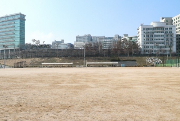 살곶이 체육공원[출처=성동구청]