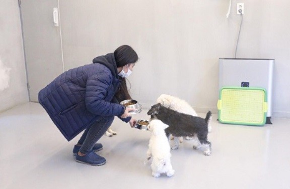 [출처=서초구청]