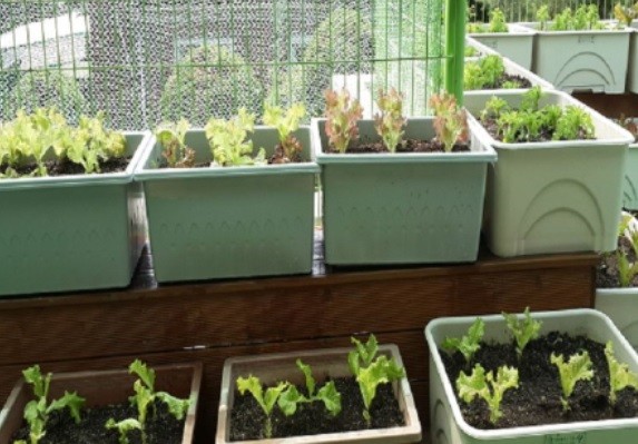 [출처=마포구청]