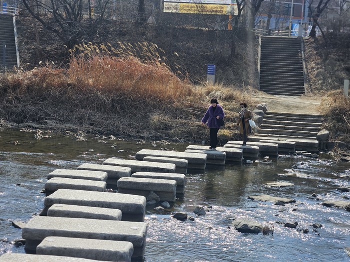 우수 지나 봄기운  가득한 토요일 오후 안양천