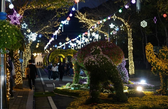 10월의 마지막 밤은 해남미남축제 낭...
