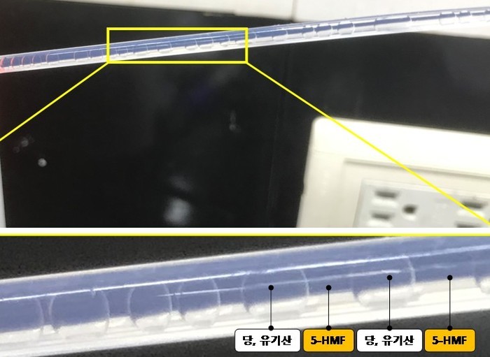 산림청, 나무에서 바이오플라스틱 원료...
