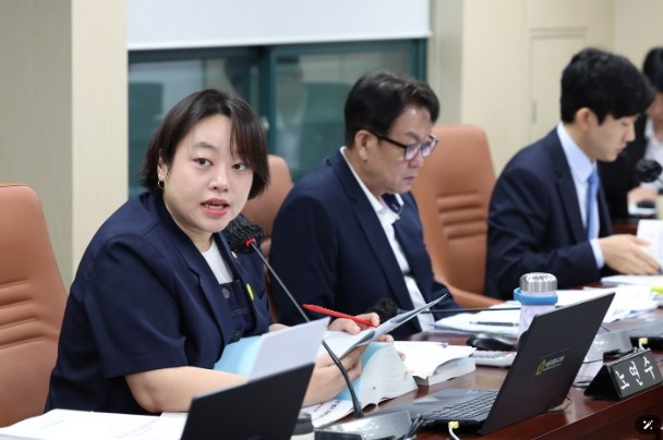노연수 서울시의원, “여의도 불꽃축제...
